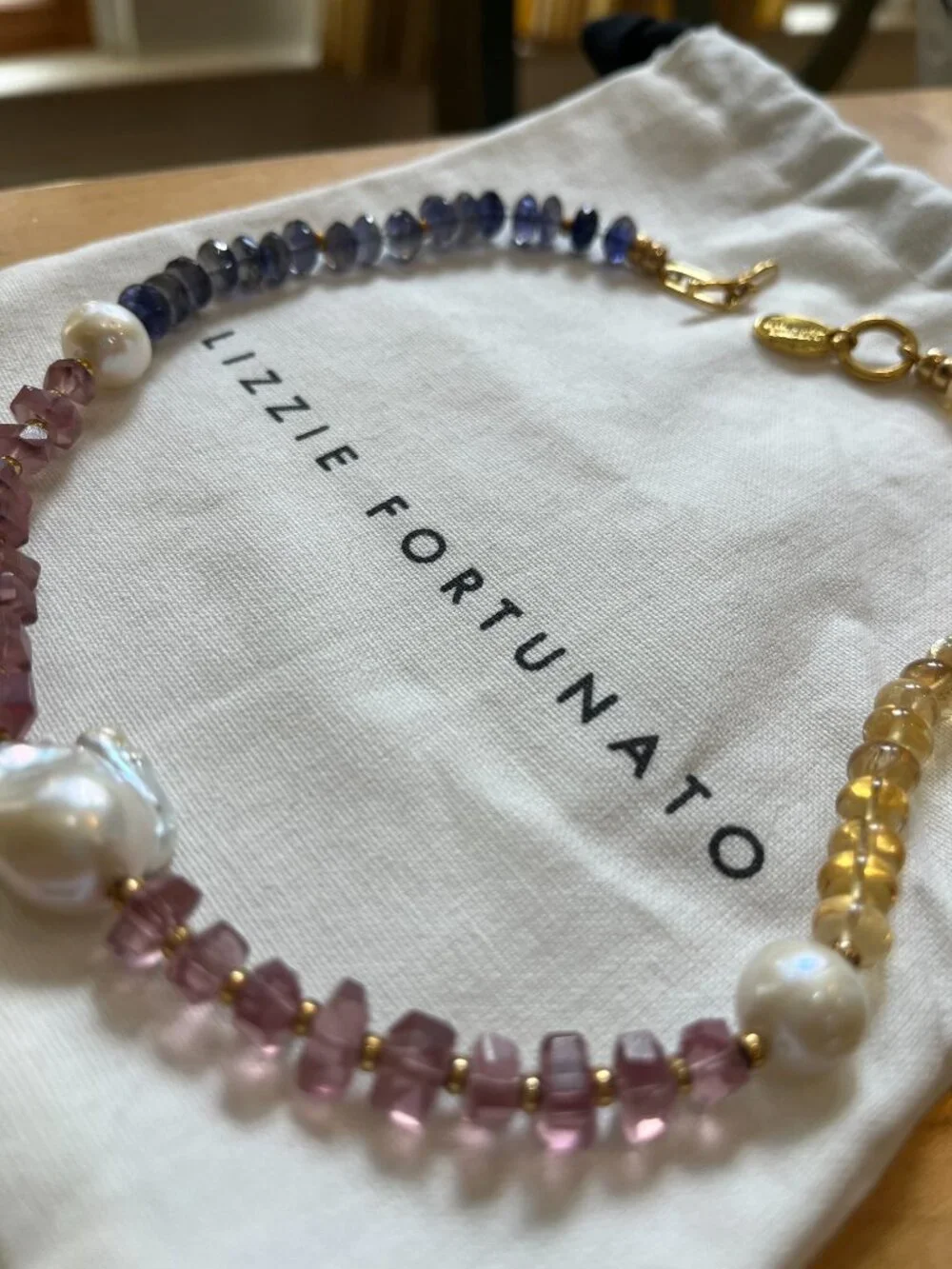 Lizzie Fortunato "Ray" necklace - Picture 3 of 8